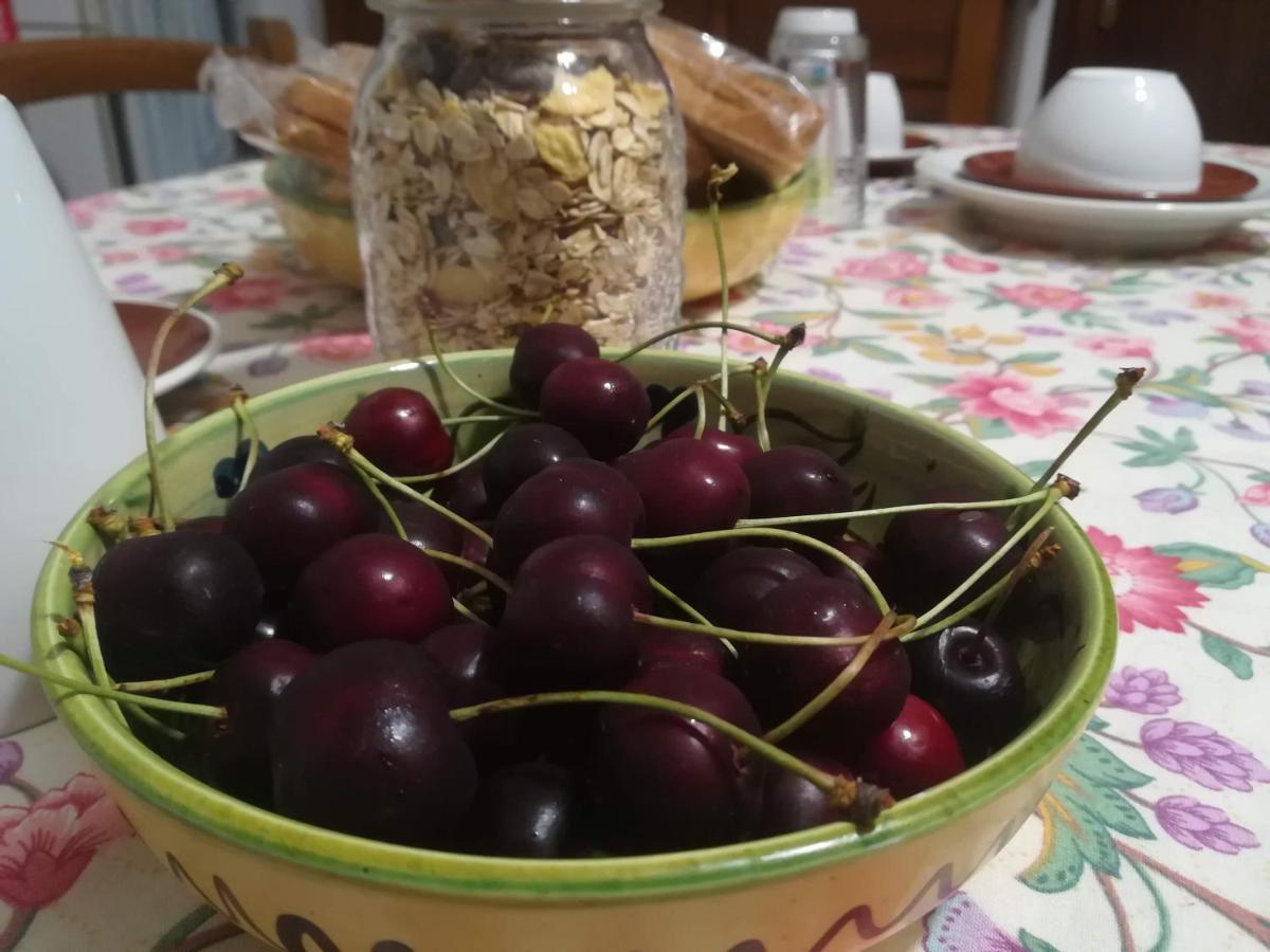 San Raffaele Cimena A Casa Di Carla B&B מראה חיצוני תמונה